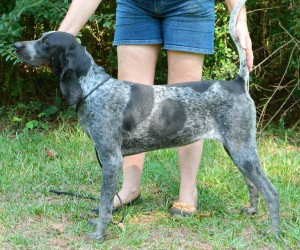 EvenstarTrue-Colors-4True-300x250