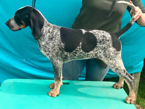 45C43B88-ACC1-4775-B72F-7F4D40840BFB