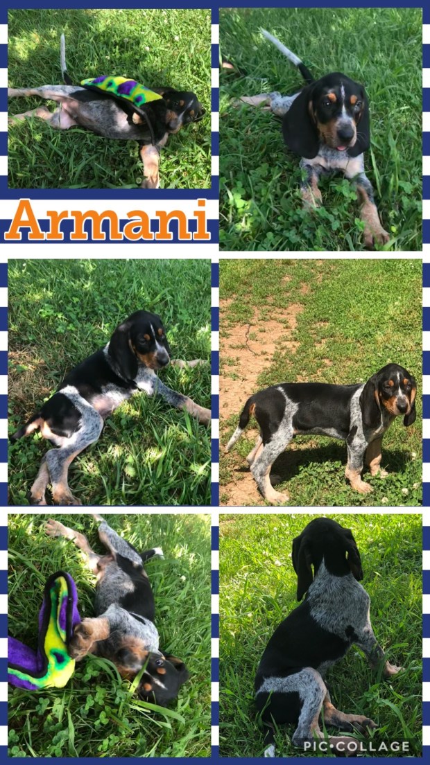 0DB74787-B3CC-4AD8-9826-F90AA55C3B0F