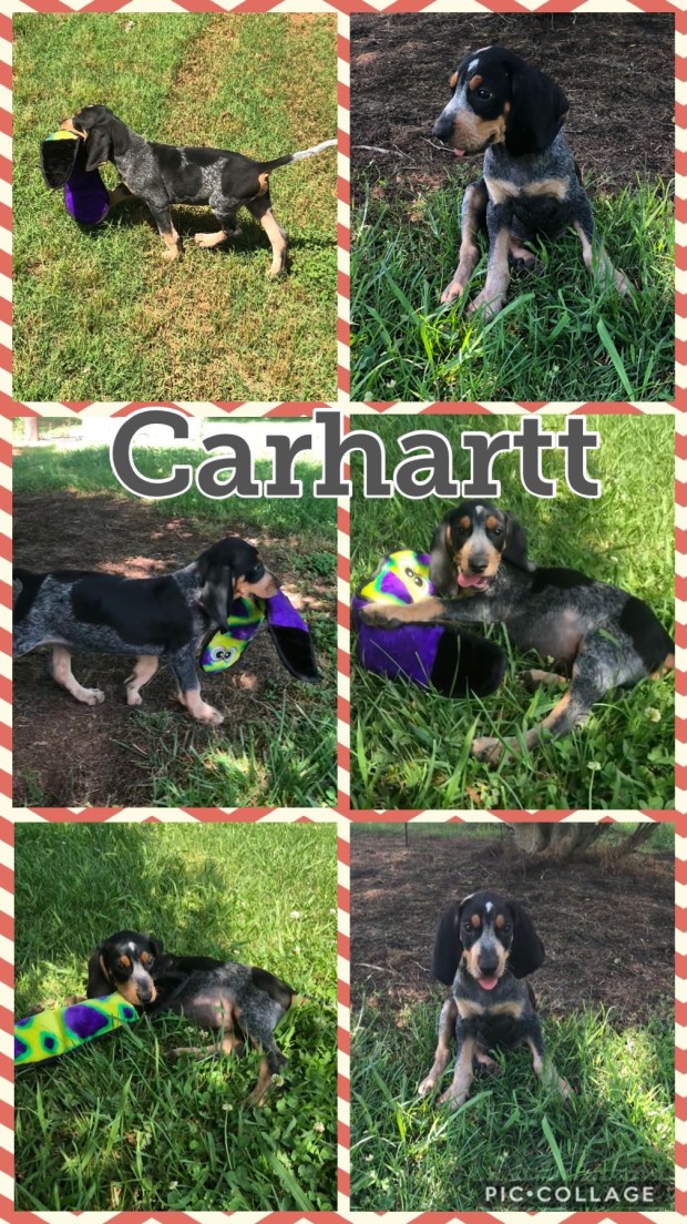 3B23EA20-BD0D-493C-B985-6253B7642F02