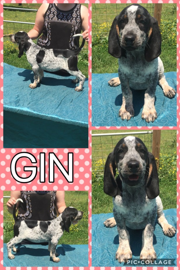 E9B73DB0-454B-4B36-858D-02A4484A4900