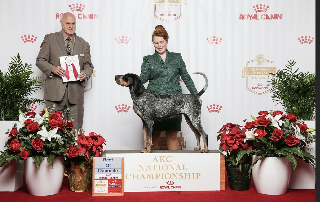 321B7B48-D080-4CF2-9623-6D802399DE66