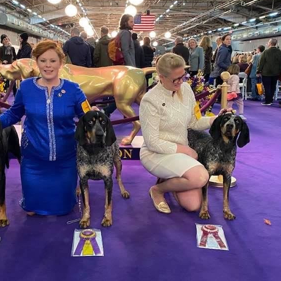 39BA6A46-1D57-41F3-9AD7-871C11848B1D