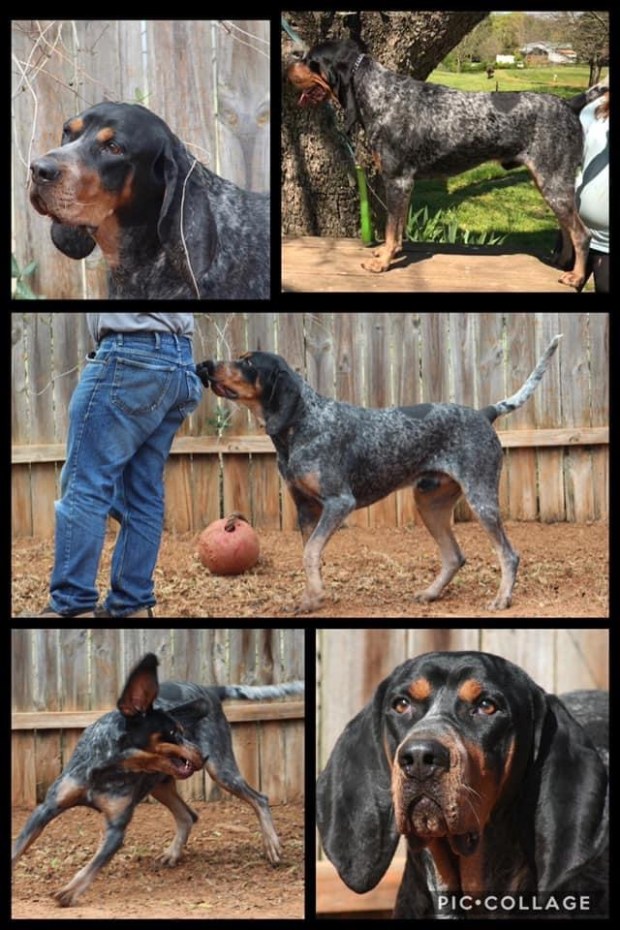 E9098EF7-7B49-4B28-A596-9044A887A444